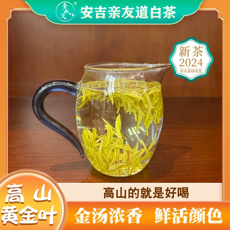 【高山黄金叶】小芽头黄金叶安吉本地黄金芽茶叶2024新茶原产地