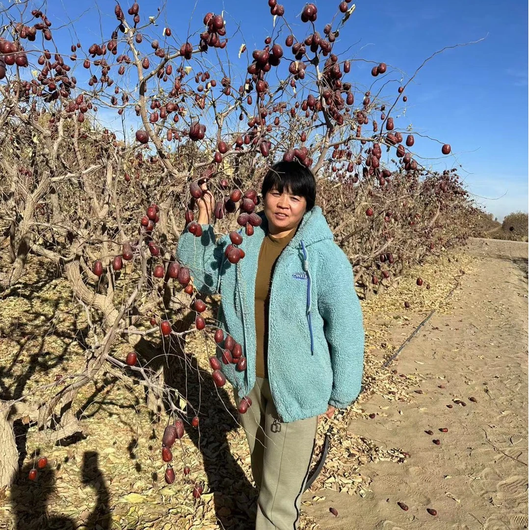 新疆未清洗和田大枣二级三级混装2斤拍5斤发5斤半原产地发货包邮