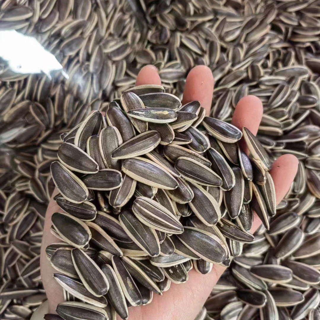 新疆和田生葵瓜子无炒制不加工两斤装新疆直发包邮