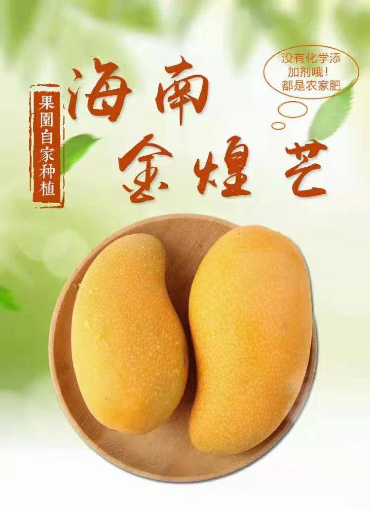 海南三亚金煌芒现采现发
