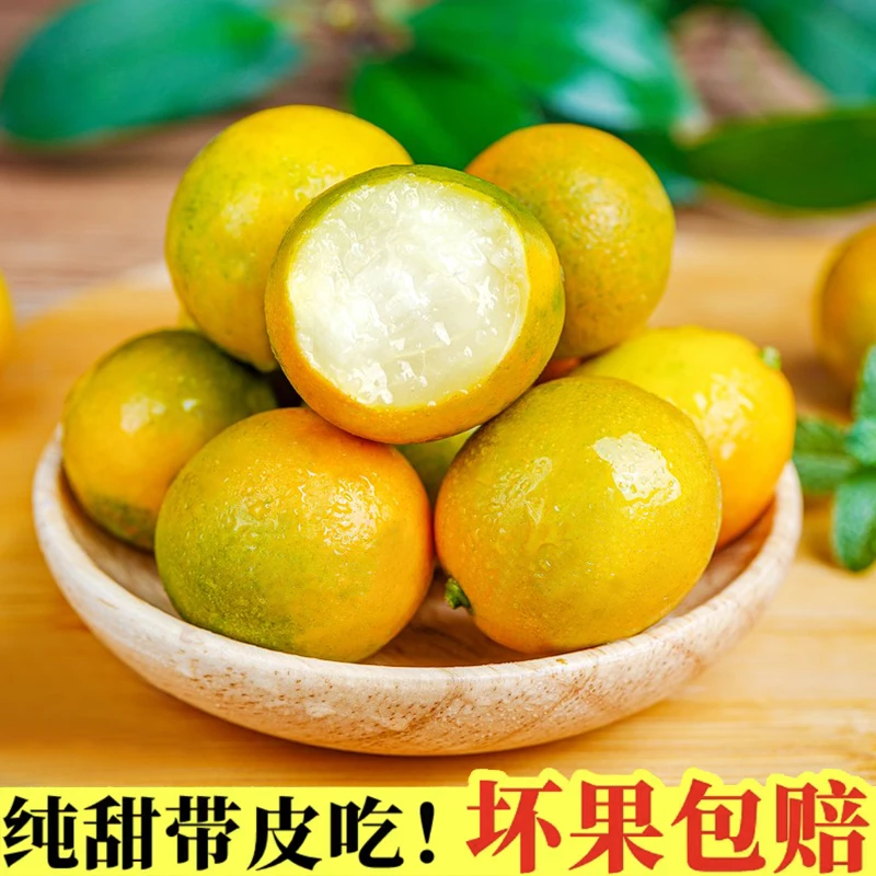 【纯甜无酸】桂林正宗脆皮金桔子新鲜水果小橘非融安爱媛果冻滑金柑