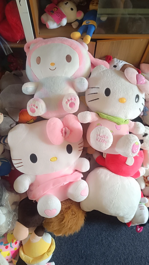 中古毛绒玩具，不够补5米远费。拍相应的价格，备注编码