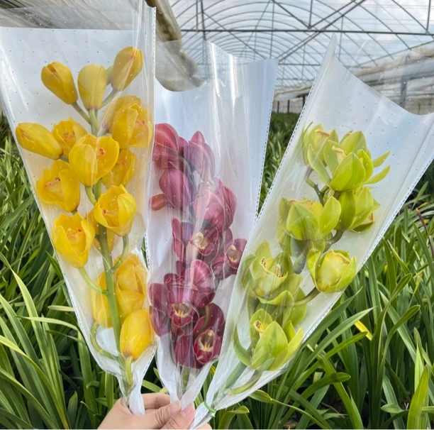 大花蕙兰-鲜切花（下单包含3枝鲜切花，加保鲜剂）不做售后