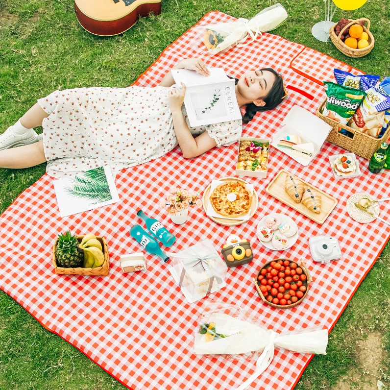 户外野餐垫旅游露营草地防潮垫折叠收纳防水垫子
