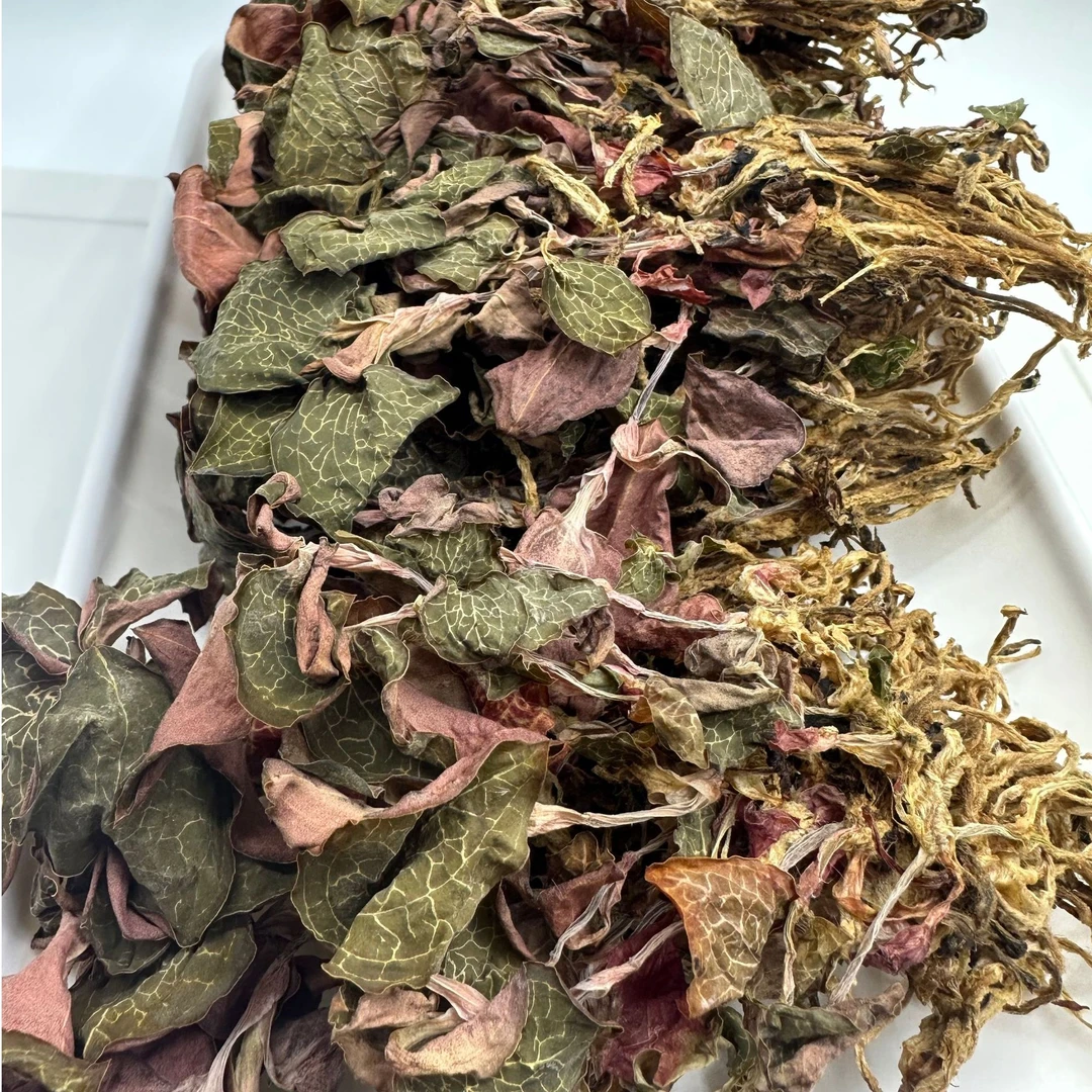 【普源优选】金线莲