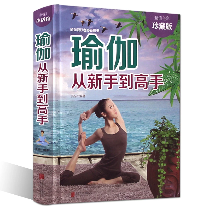 瑜伽 从新手到高手（精装）零基础瑜伽书籍 减肥瑜伽书籍教程