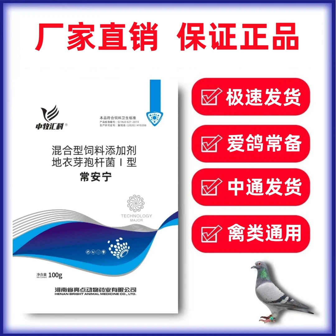 【常安宁】鸽子赛鸽信鸽幼鸽适用饲料添加剂