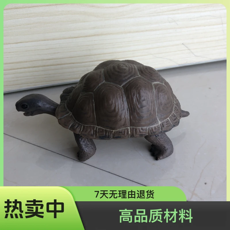 仿真模型摆件乌龟仿真动物玩具摆件父亲节儿童节七夕节