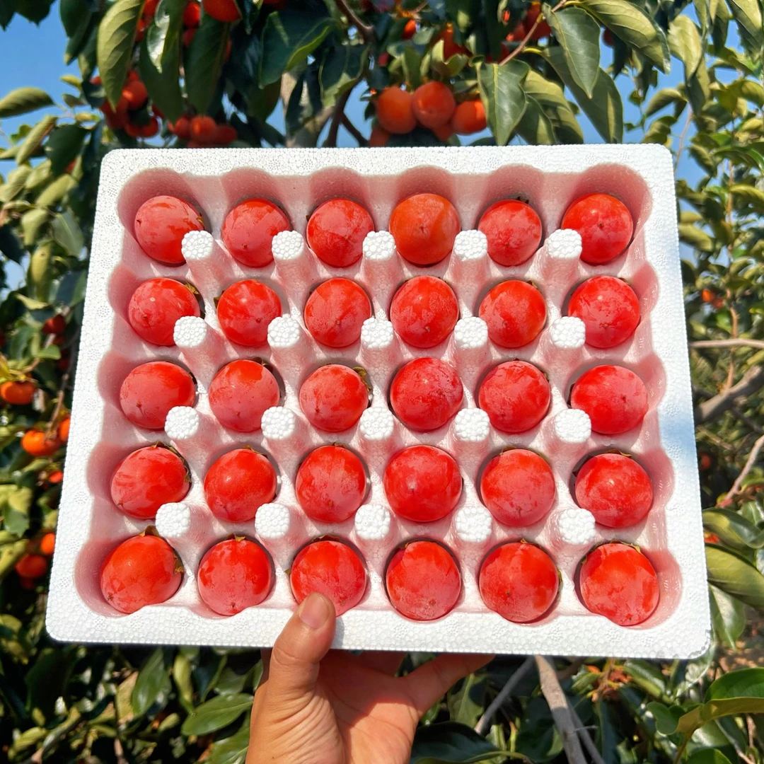 （软柿子）2025年头茬应季水果流心珍珠蜜柿小柿子软甜爆浆现摘现发