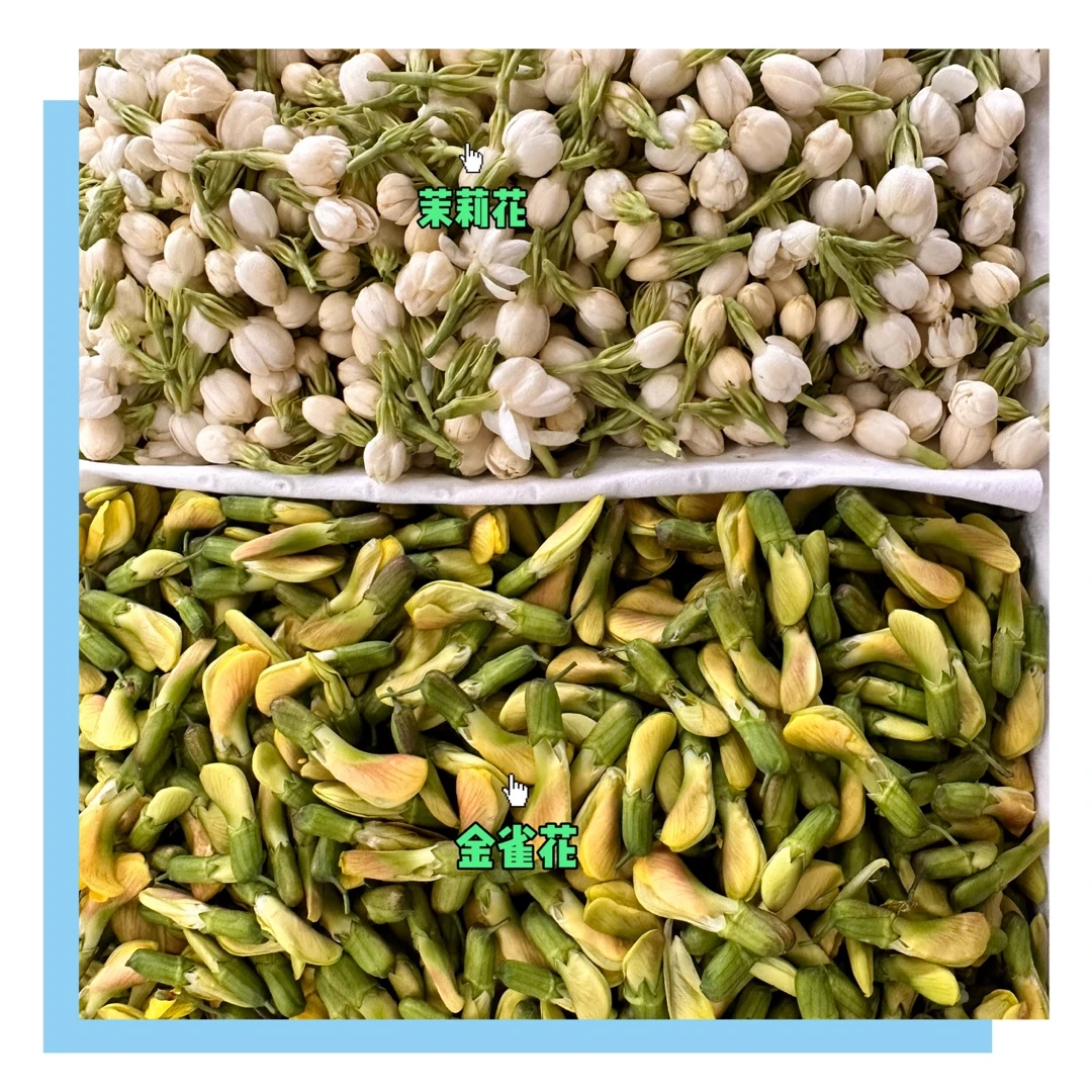 云南特产鲜羊肚菌鲜花茉莉花金雀花组合装1000g新鲜食用鲜花