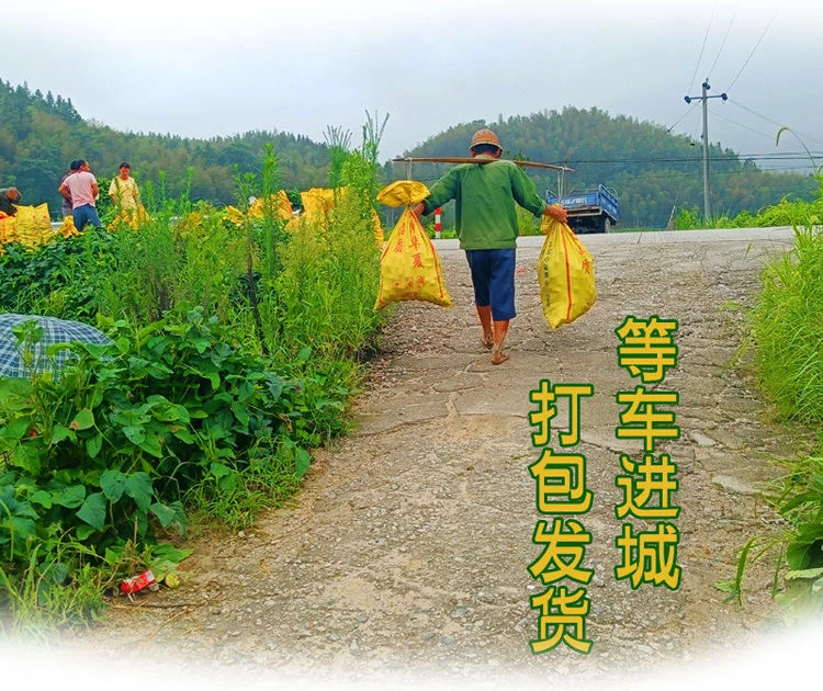 江西赣州信丰农村赶集瓜果蔬菜