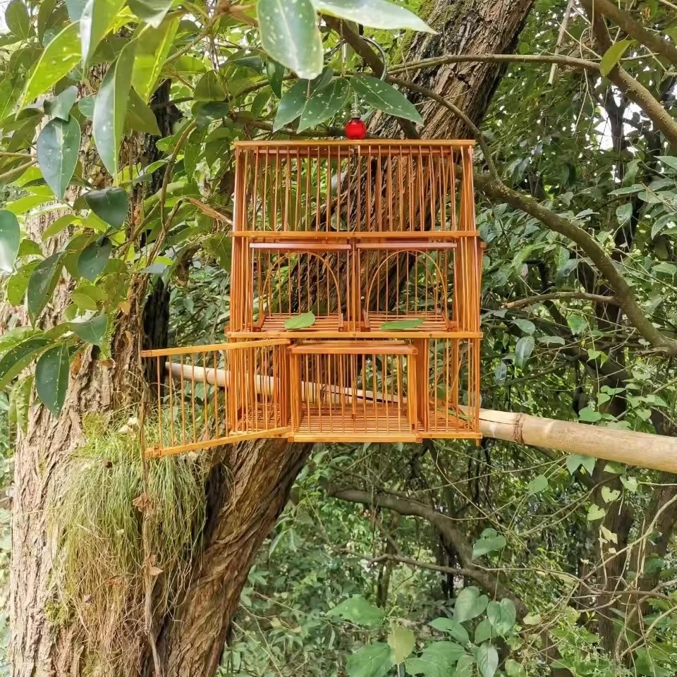 三角形房子款六门踏板笼黄豆绣眼户外活动鸟笼