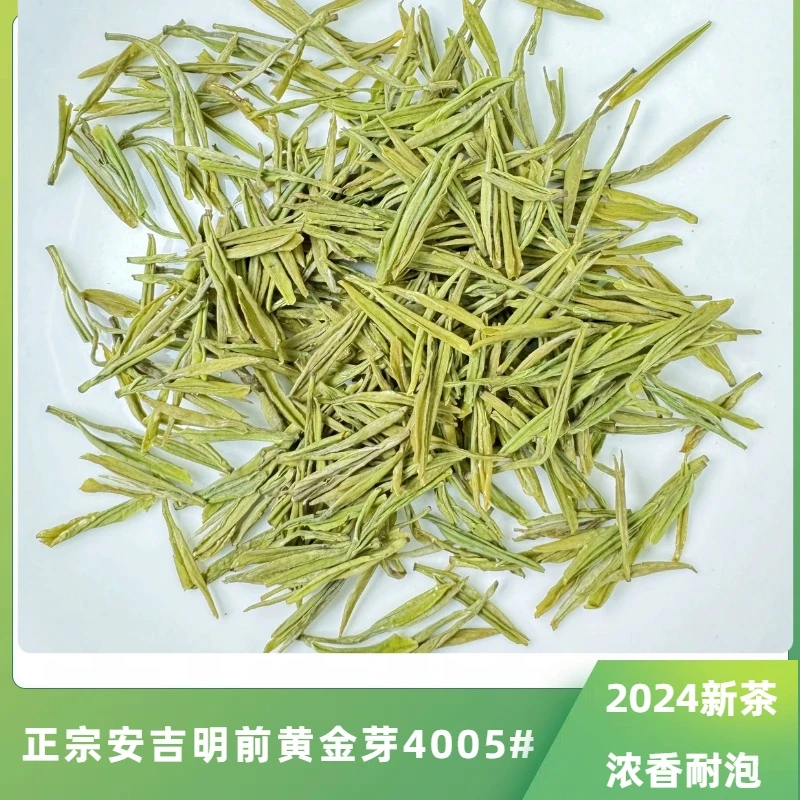 2024春茶正宗安吉明前黄金芽4005#