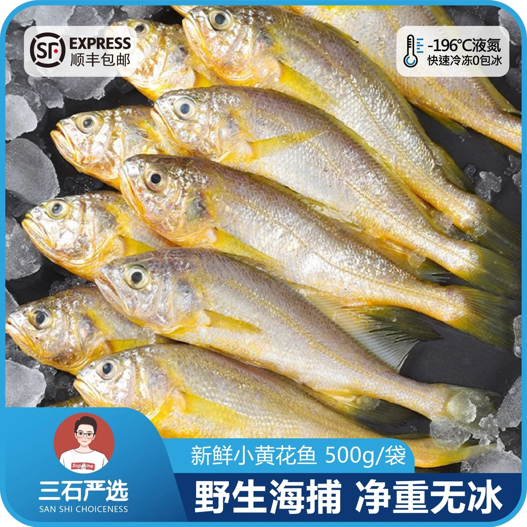（10条/斤）新鲜小黄花鱼黄鱼野生海捕 速冻锁鲜  净重无冰