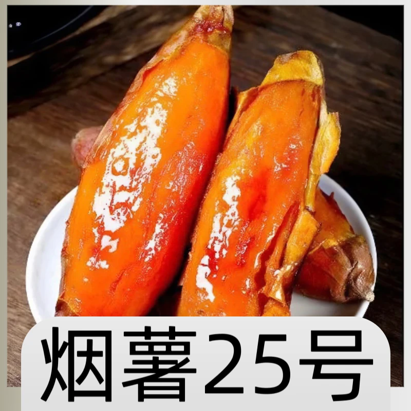 烟薯25号地瓜糖心红薯美味香甜新鲜随机发货沙土地种植烤红薯食用