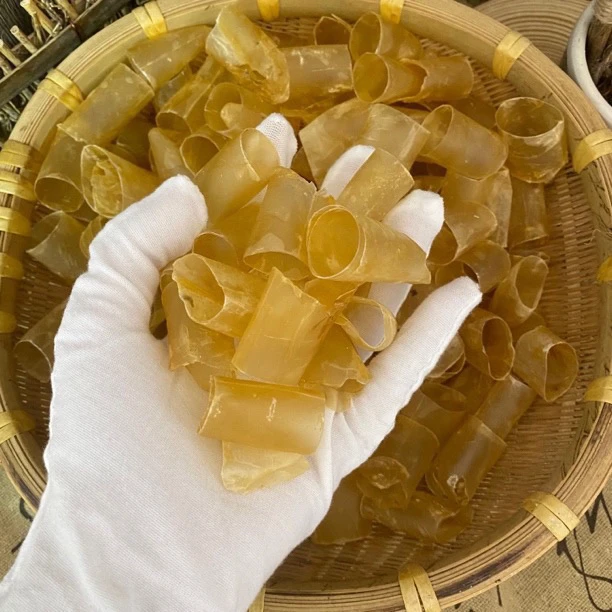 鱼胶【心有良品专属】
