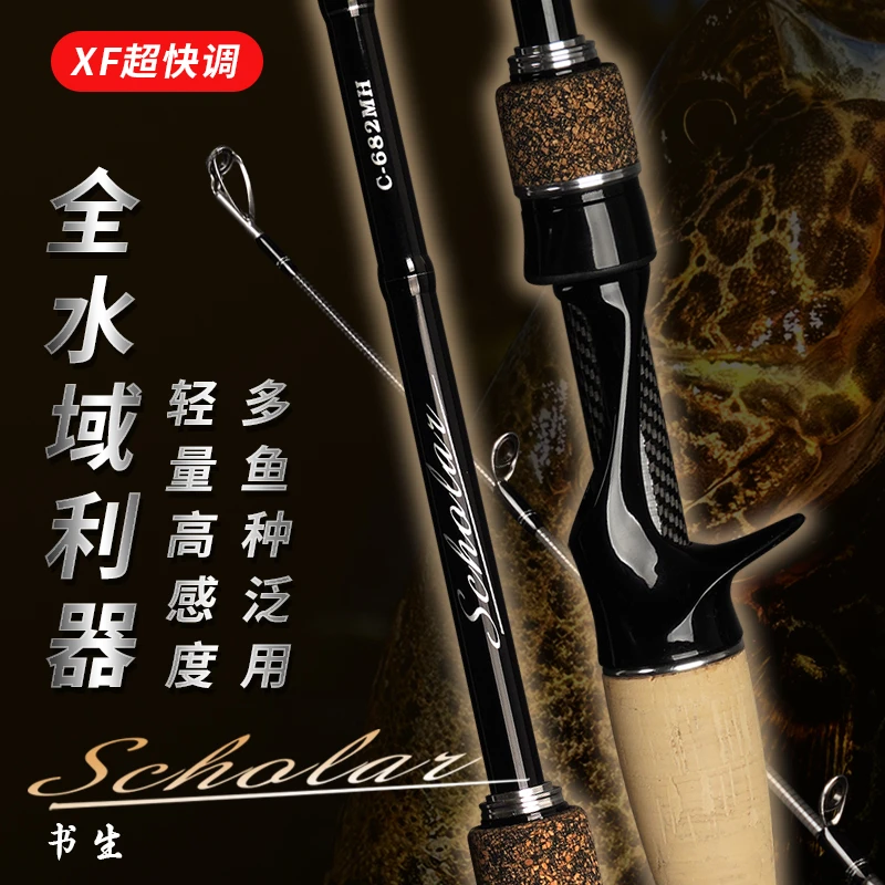 水师X1路亚竿枪柄直柄2节独节远投泛用竿虫杆鳜鱼杆鲈鱼海钓水库