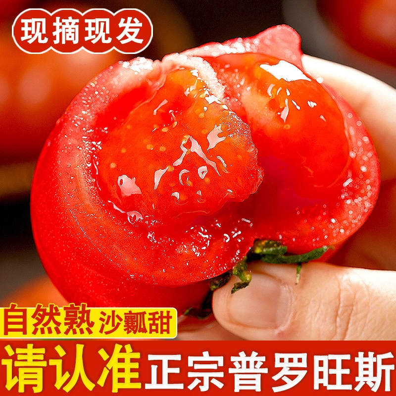 【顺丰可选】正宗陕西泾阳普罗旺斯西红柿新鲜沙瓤甜3/4.5斤
