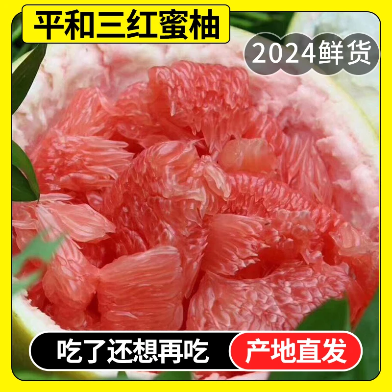 正宗福建平和红心蜜柚新鲜三红柚子皮薄肉厚当季新鲜整箱水果包邮