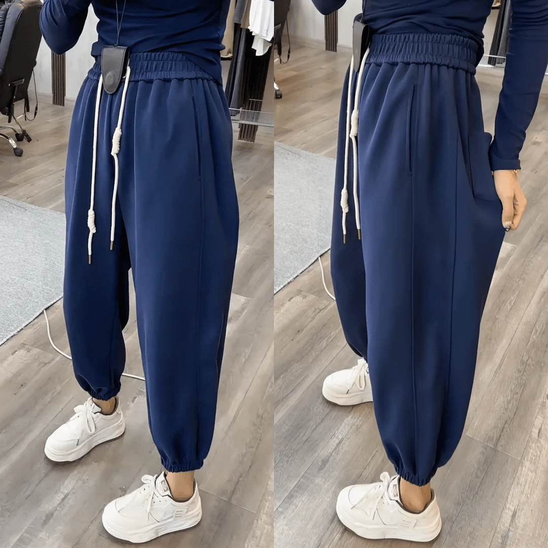 Aimeerosa/艾洛莎今年流行最火灯笼休闲裤2024秋季九分显瘦哈伦裤