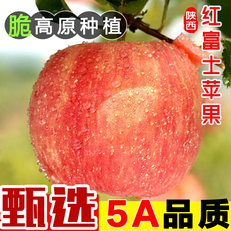 【精选】原生态陕西红富士苹果霜降自然熟脆甜多汁礼盒装送礼包邮