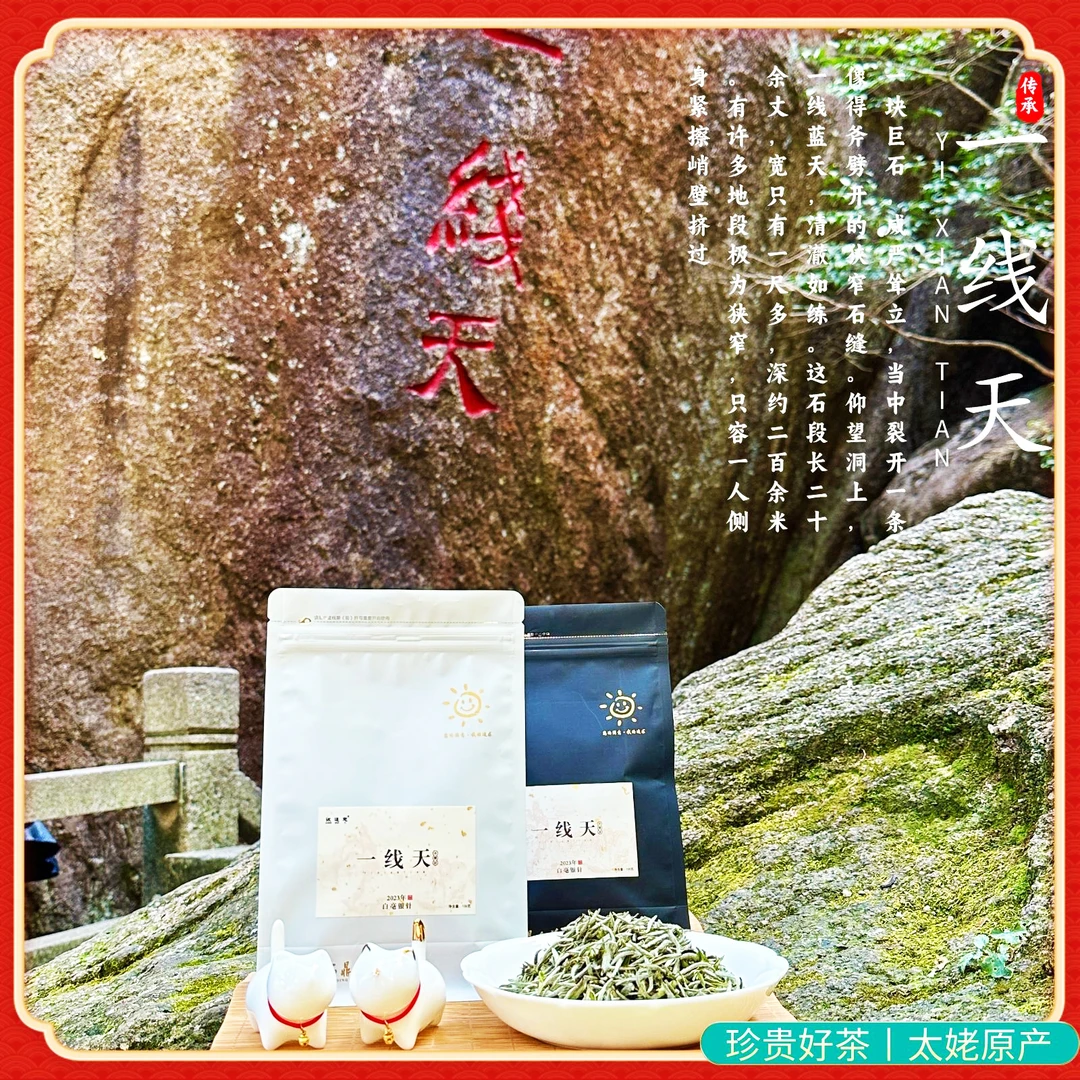 福建白毫银针嫩芽高山白茶福鼎大白茶散装