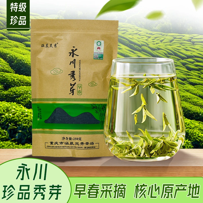重庆永川新茶早春特级秀芽散装高山茶叶