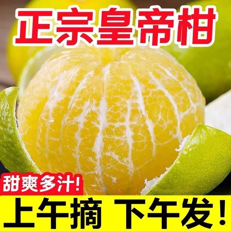 广西武鸣皇帝柑皇帝贡柑新鲜采摘应季水果清甜爆汁不上火整箱发货