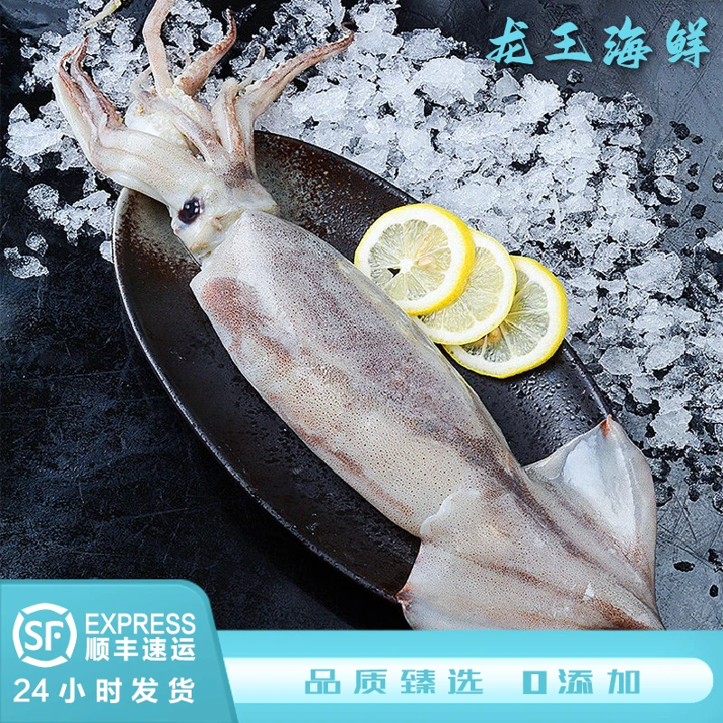【鱿鱼】 鲜冻整条大鱿鱼 铁板鱿鱼海鲜 浙江舟山嵊泗鱿鱼 2000g起