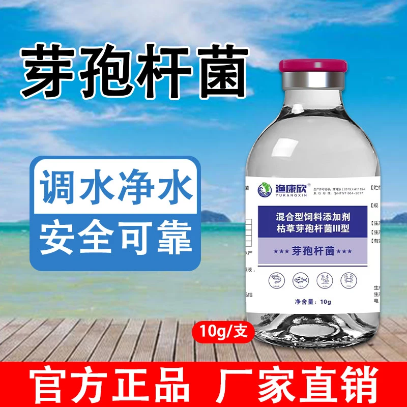 芽孢杆菌原种水产养殖鱼虾蟹塘调水净水降解亚硝酸盐芽孢益生菌种