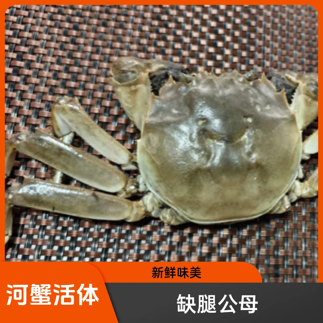 【缺腿公母混搭】盘锦河蟹 （规格公2.5-2.8两 母2.2-2.5两/只）活发