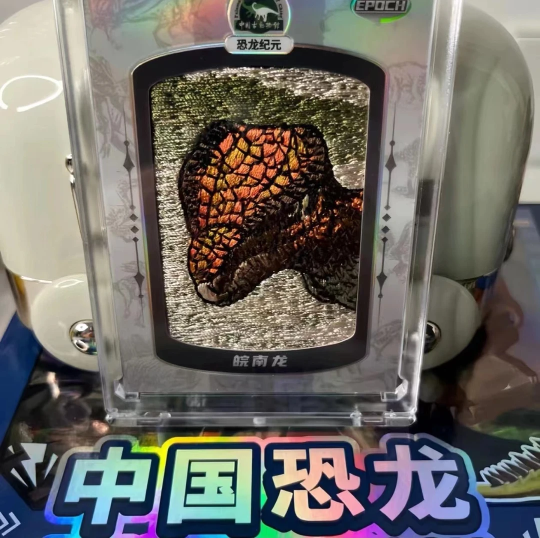 恐龙纪元系列 Epoch 中国恐龙系列收藏卡知识卡 （拍下默认代拆）
