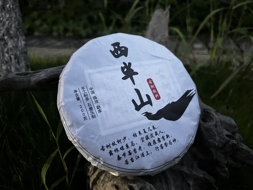 【2019年西半山坝卡古树】拍1发2