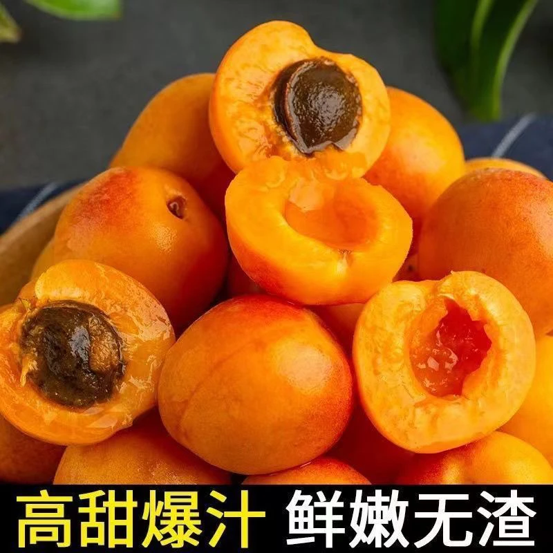 正宗新疆小红杏当季新鲜水果阿克苏特产空运包邮吊干杏现摘现发