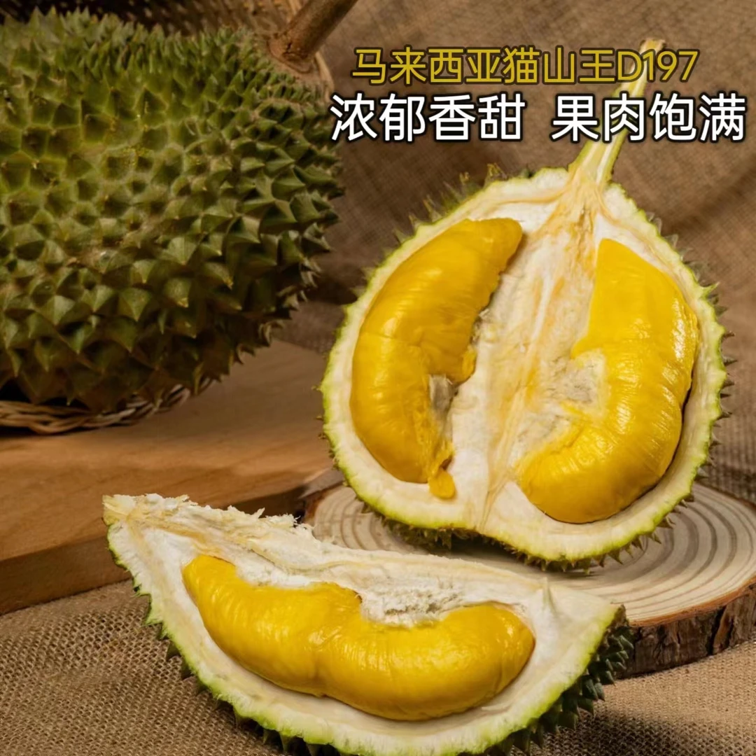 【保4房】马来西亚D197猫山王树熟液氮保鲜榴莲