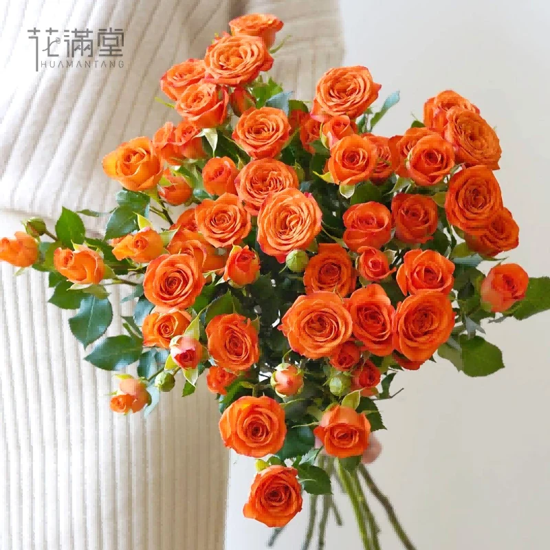 【家居鲜花】多头玫瑰1扎/9-11支/颜色随机介意者慎拍