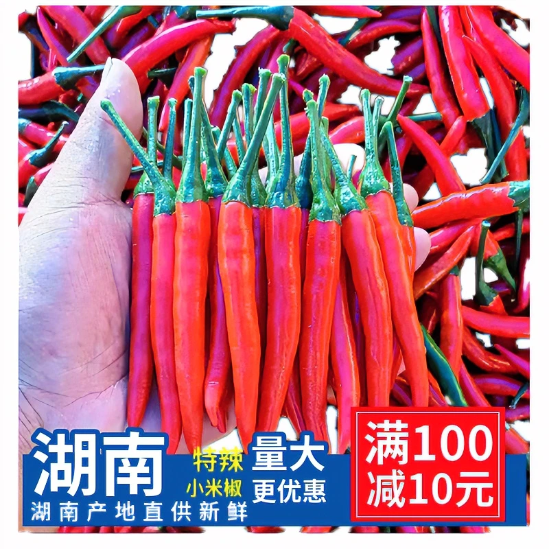 现摘新鲜小米椒朝天剁辣椒湖南味道发货鲜香爽口种植麻辣农家菜