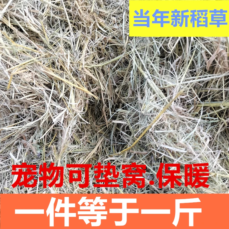 兔子干稻草垫窝草粗纤维保暖干草普通干净宠物草豚鼠仓鼠保暖