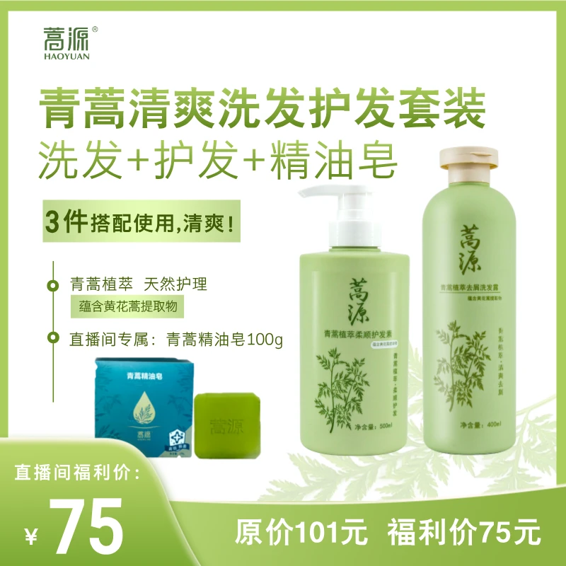 (直播间专属) 青蒿植萃去屑洗发柔顺护发套装