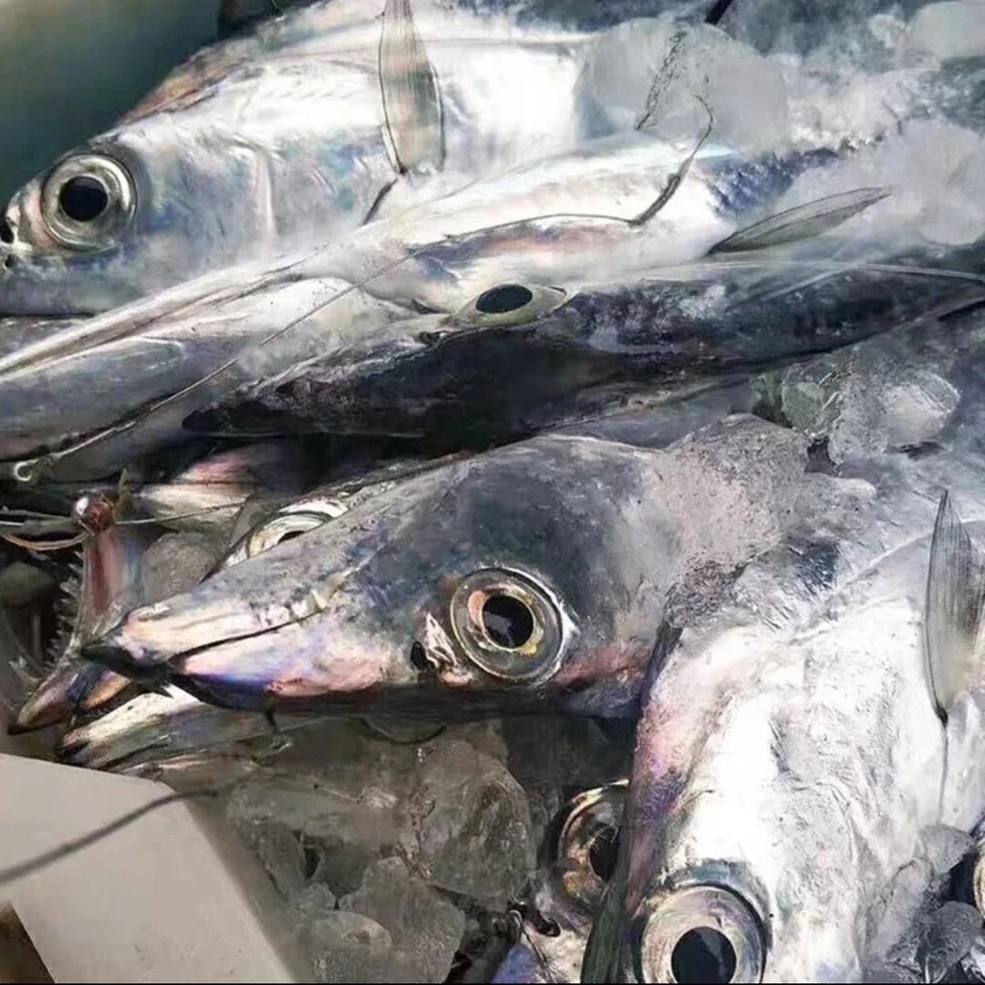 东海野生海捕流网大带鱼顺丰包邮4斤