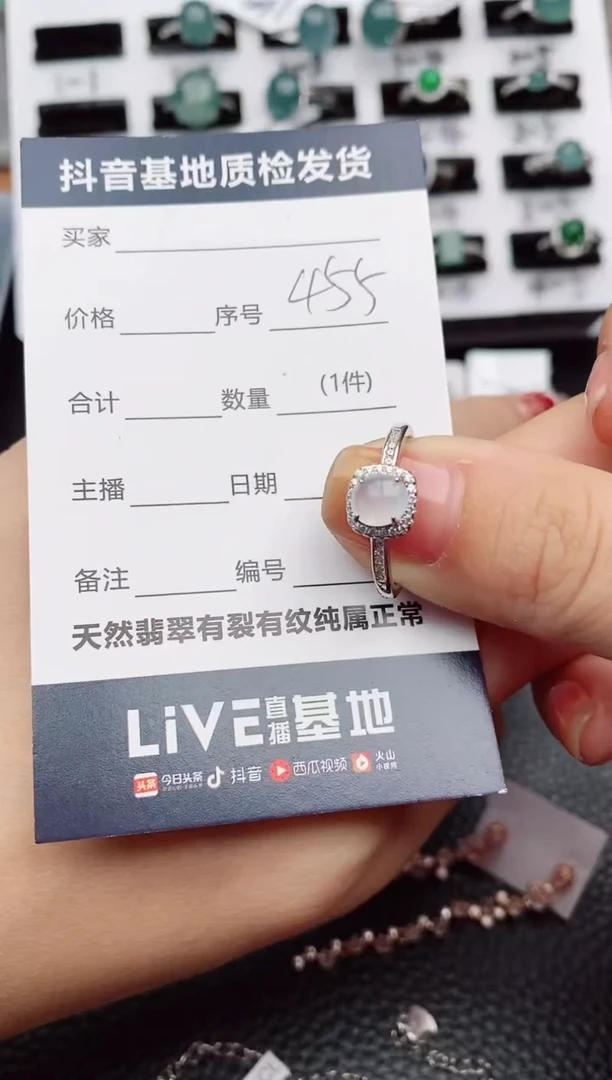 【闪购商品】翡翠颈饰银S925镶嵌455