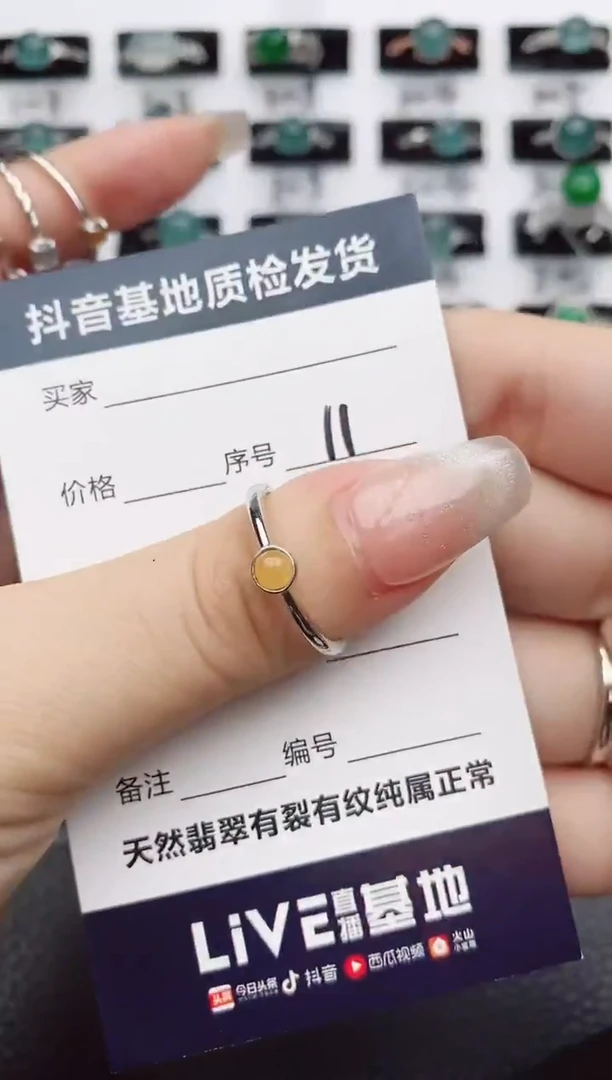 【闪购商品】翡翠颈饰银S925镶嵌11