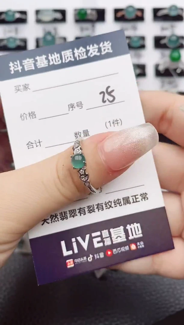 【闪购商品】翡翠颈饰银S925镶嵌25