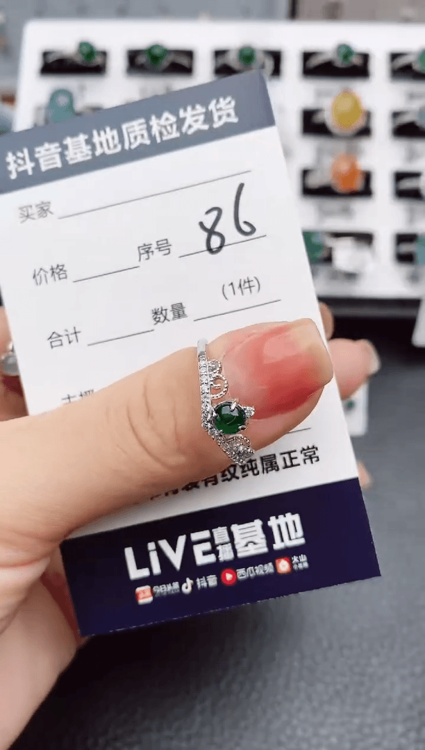 【闪购商品】翡翠颈饰银S925镶嵌86