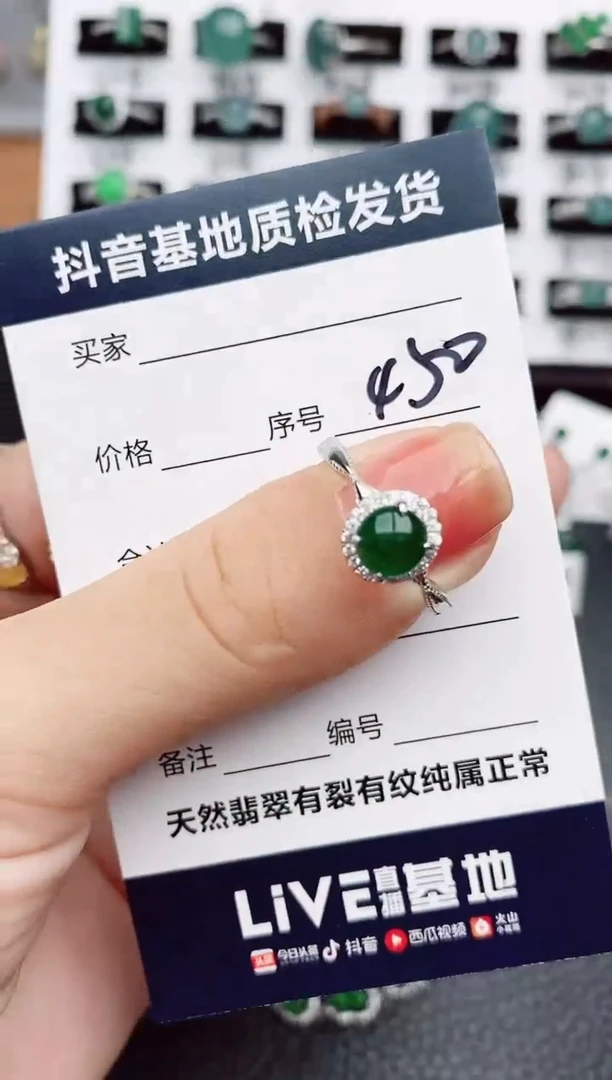 【闪购商品】翡翠颈饰银S925镶嵌450