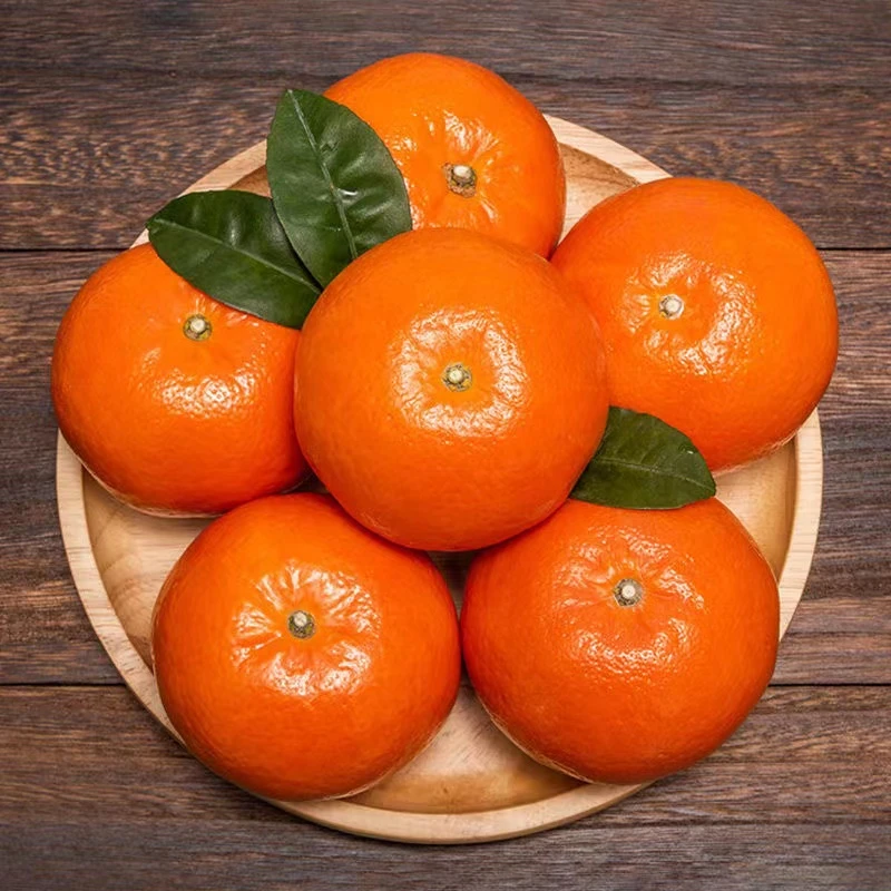 广西武鸣沃柑新鲜应季水果柑橘5-9斤包邮.
