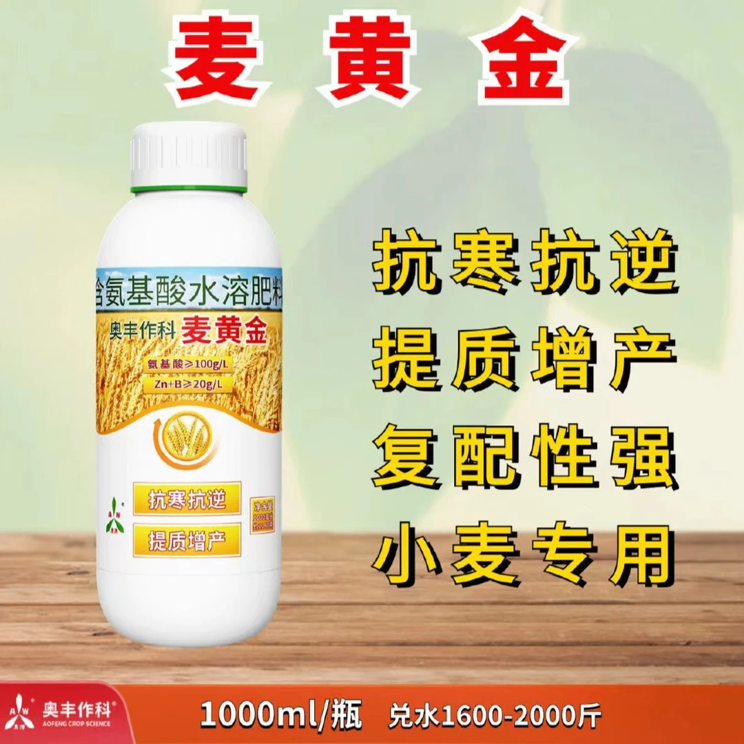 【奥丰周玲】奥丰麦黄金  促分蘖  抗倒伏 提品质氨基酸叶面肥