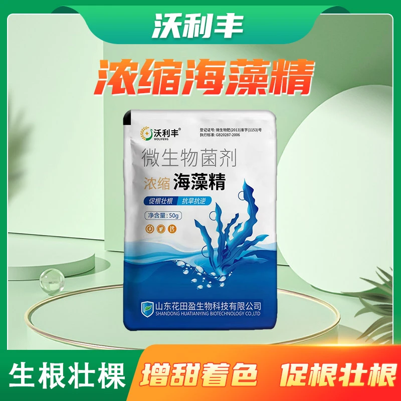沃利丰浓缩海藻精促根壮根绿叶靓果抗旱抗逆大田作物通用水溶肥