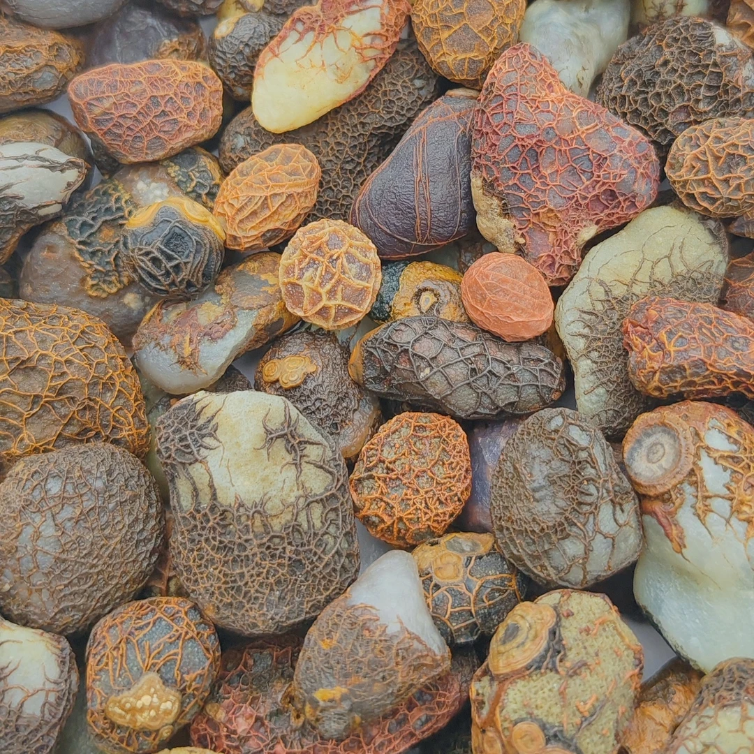 戈壁石，纯天然观赏石，专拍链接