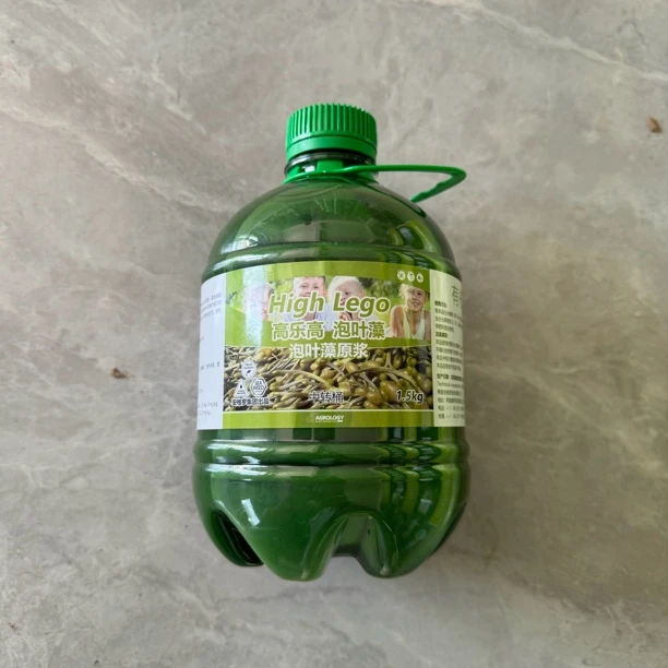 泡叶藻原浆有机水溶肥